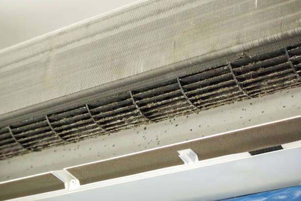 Best Air Duct Mold Removal  in Weddington, NC